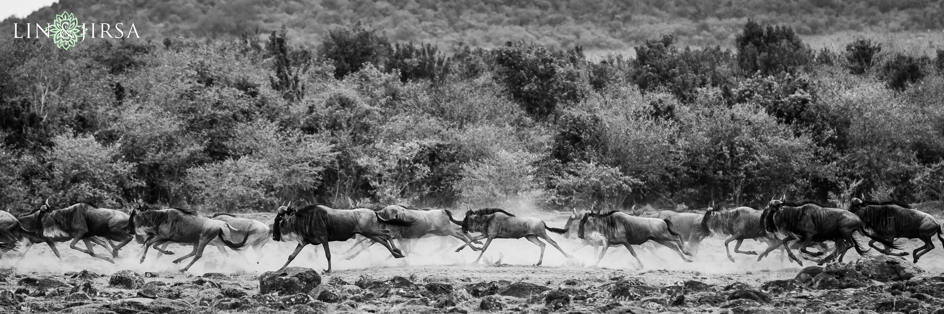 56-african-safari-photographer