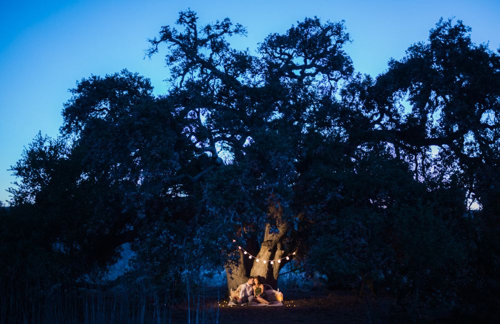 Thomas-F-Riley-Wilderness-Park-Engagement-Photos-2