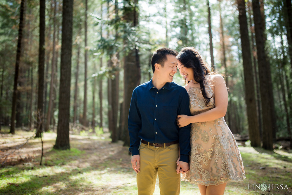 0041-LJ-Yosemite-Engagement-Photography