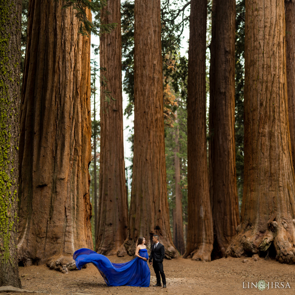 06-Sequoia-National-Park-Maternity-Session-Photography