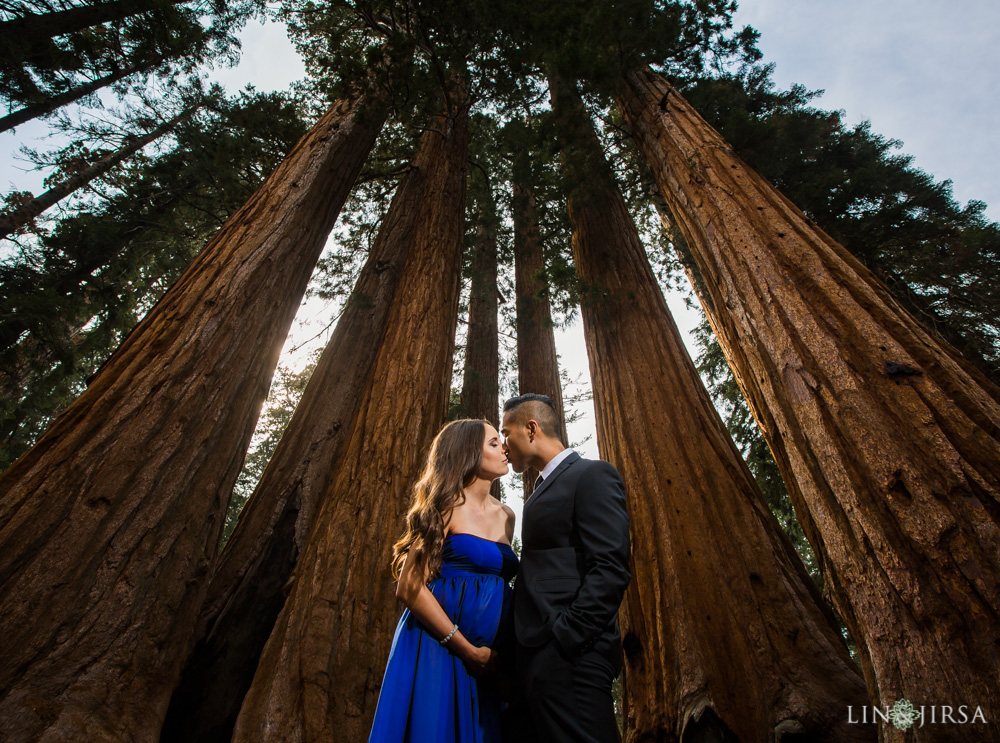 07-Sequoia-National-Park-Maternity-Session-Photography