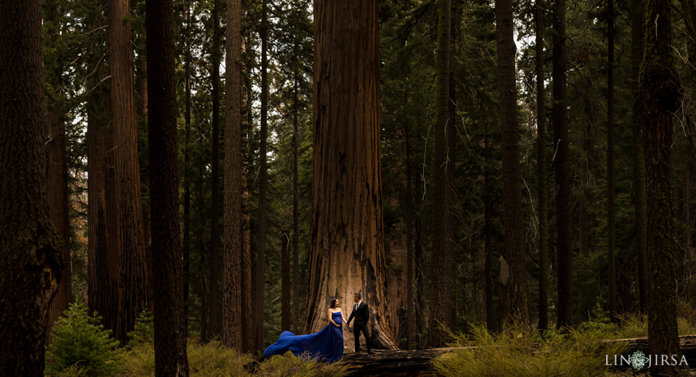08-Sequoia-National-Park-Maternity-Session-Photography