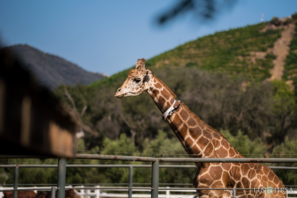 03-saddlerock-ranch-malibu-wedding-photography