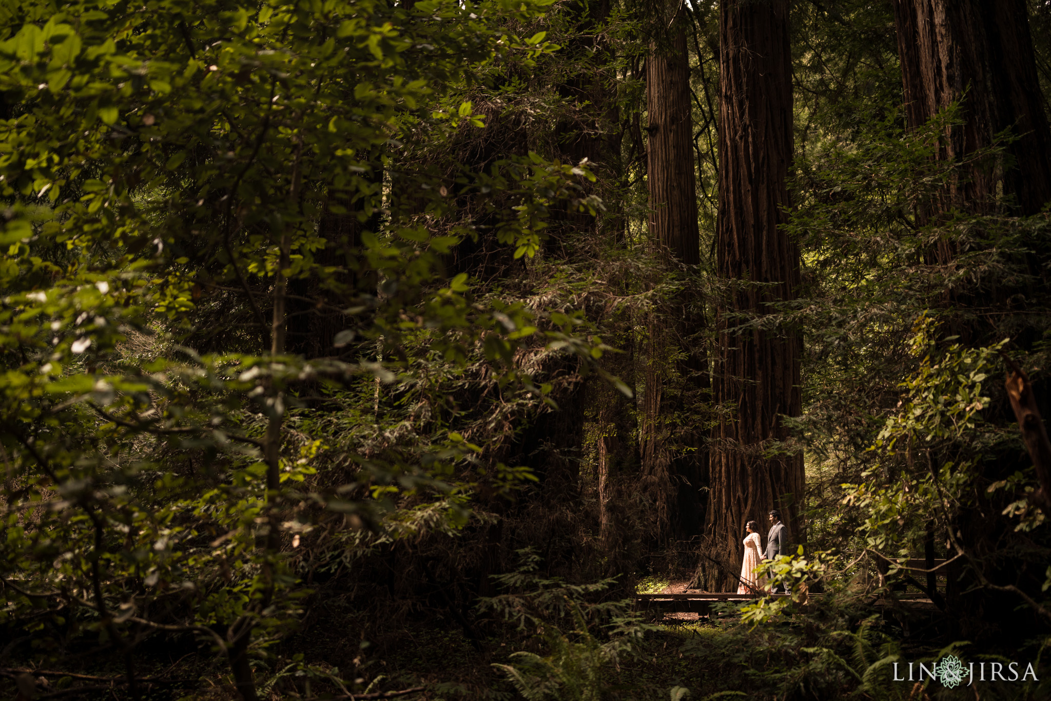05-San-francisco-muir-woods-marin-county-engagement-photography