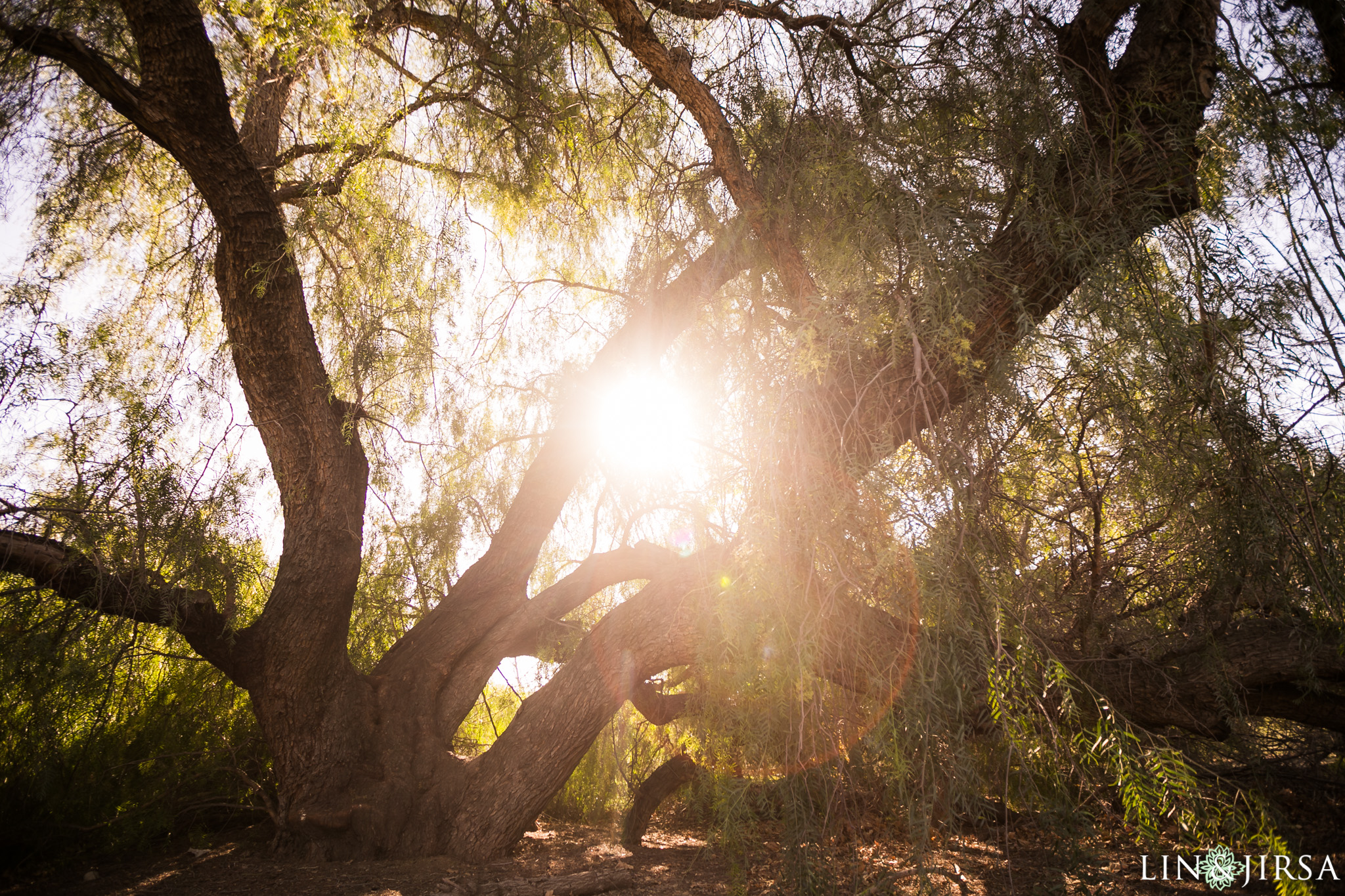 01 irvine regional orange county engagement photography