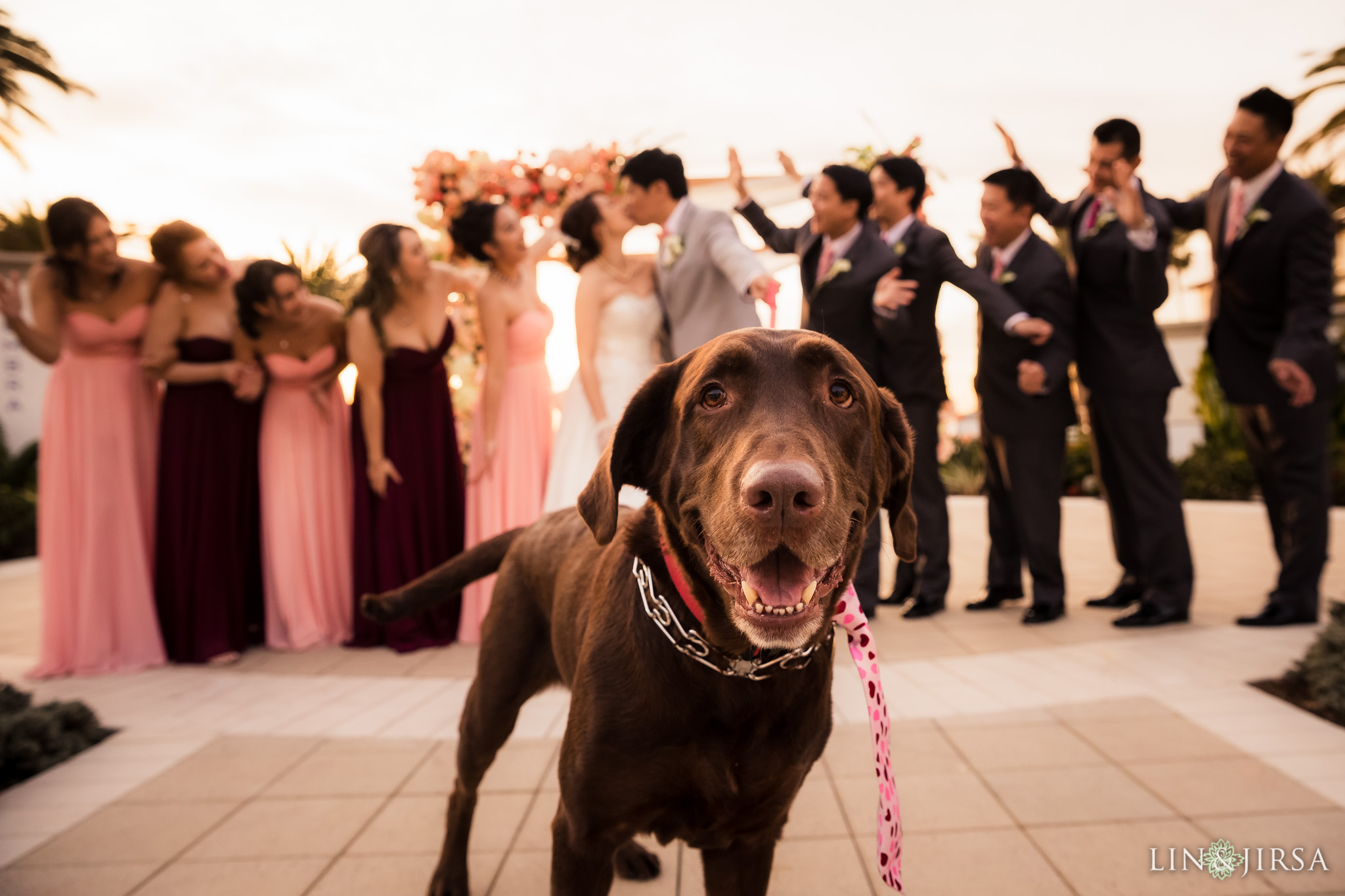 37 monarch beach resort wedding party dog photography