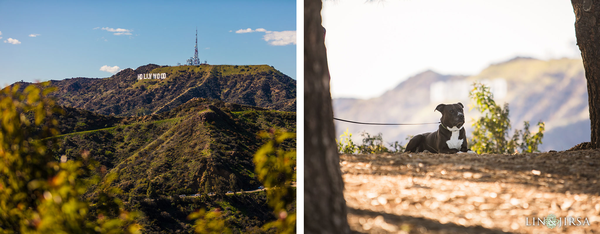 01 griffith park los angeles engagement photography