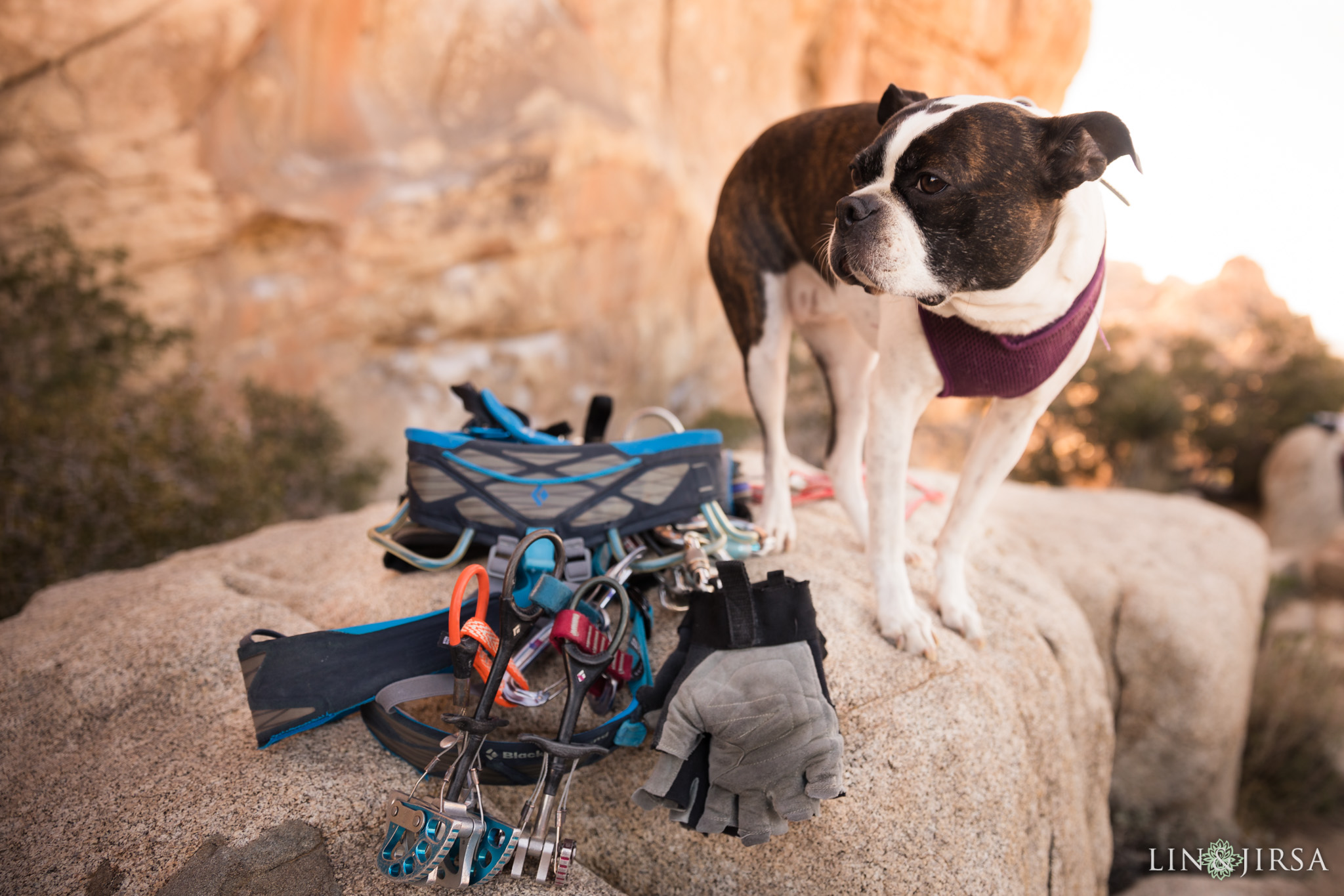 03 joshua tree national park engagement photography