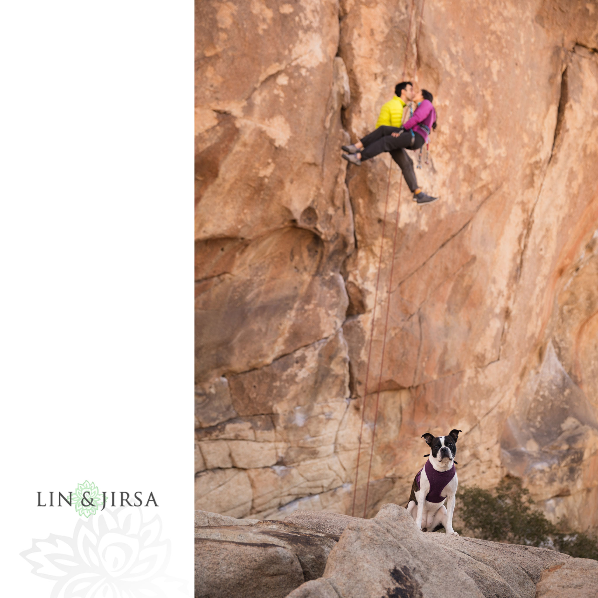 10 joshua tree national park engagement photography