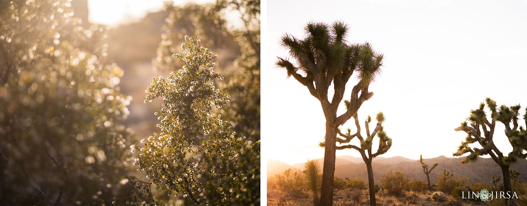 04 joshua tree national park desi engagement photography