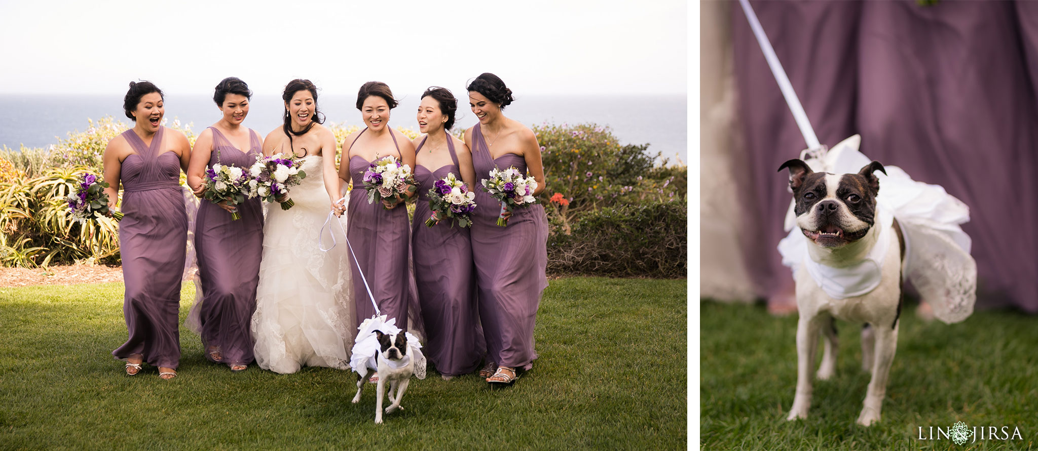 07 terranea resort rancho palos verdes wedding bridesmaids dog photography